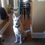 Profile Picture of Michael Gillis (@bear84366) on Instagram