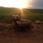 Profile Picture of Omar Baca (@omar.baca.3720) on Instagram