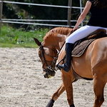 Profile Picture of Mogane Bronkhorst (@moganebronkhorst) on Flickr