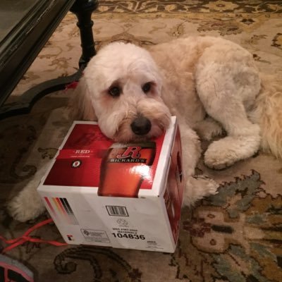 Profile Picture of Dan Batz (@dbatz0401) on Twitter