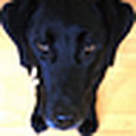 Profile Picture of Seymour Views (@seymour views) on Flickr