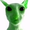 Profile Picture of Alien (@aaronkandel5) on Tiktok