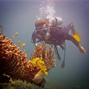 Alex Behrens - Youtube Profile Picture of Alex Behrens (@alexbehrens4341) on Youtube