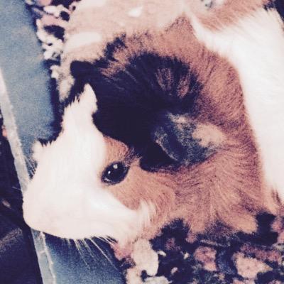 Profile Picture of Kaela Thompson (@SaveKaela) on Twitter