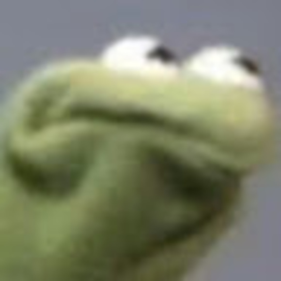 Profile Picture of Tortilla Tortilla (@lochtwist) on Poshmark