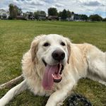 Profile Picture of Charlotte Chiasson (@ellereinhart) on Instagram