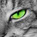 Profile Picture of Hunter Howell (@hunter.howell.9678) on Facebook