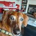 Profile Picture of Wanda Ledbetter (@wanda.ledbetter.3) on Facebook