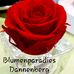 Profile Picture of Thomas Dannenberg (@Thomas-Dannenberg) on Facebook