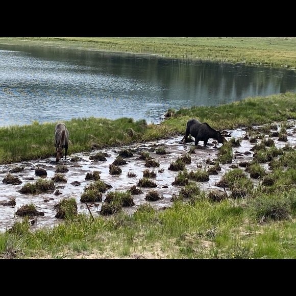 Profile Picture of Max Oconnor (@max13667) on Poshmark