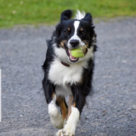 Ella Pesavento - Poshmark Profile Picture of Ella Pesavento (@ellapesavento95) on Poshmark