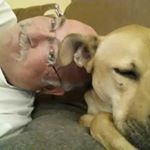 Profile Picture of David Hinson (@rottmannash) on Instagram