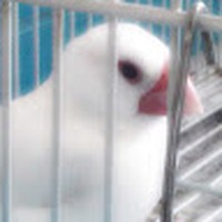 Profile Picture of Cooper Gordon (@cooper-gordon-9) on Quora