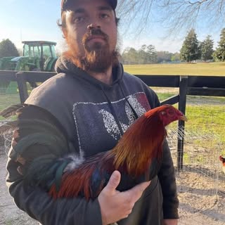 Kevin Michael Bentler - Instagram Profile Picture of Kevin Michael Bentler (@bentlerkevin) on Instagram