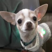 Profile Picture of Cody Craig (@codycraig9672) on Youtube