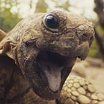 Profile Picture of Andrew (@stinger75.asd) on Instagram