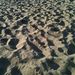 Profile Picture of Dalene Zerlang (@dalenezerlang) on Pinterest