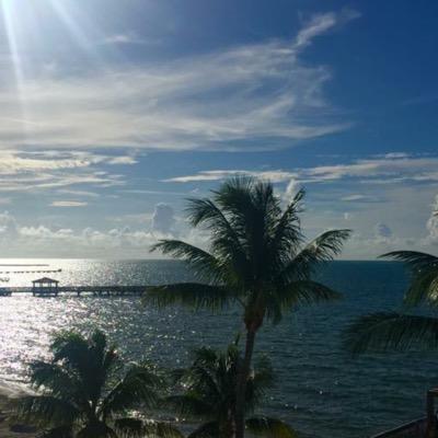 Profile Picture of Bob Kaminski (@rkami73484) on Twitter