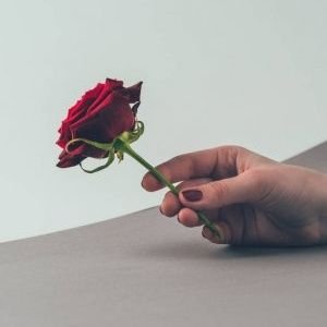 Profile Picture of Valentín (@frasesdelaRosa) on Twitter