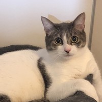 Profile Picture of Max Timothy (@max-timothy-2) on Quora