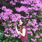 Rose Bonadio - Instagram Profile Picture of Rose Bonadio (@rose.bonadio) on Instagram