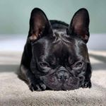 Profile Picture of Terry Parker (@parkertterr) on Instagram