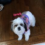 Profile Picture of Nathan Yang (@n_thanyang) on Instagram