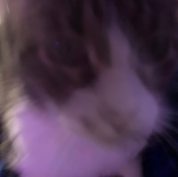 Profile Picture of Jaxon Bleckert (@tooflyjax) on Poshmark