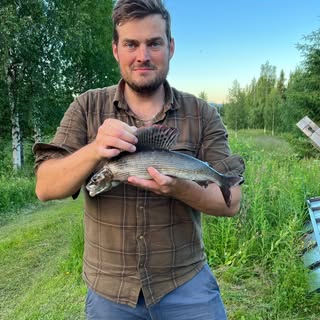 Profile Picture of David Gustafsson (@vildsvinsjakt) on Instagram