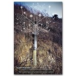 Profile Picture of Corey Corcoran (@coreycorcoranl) on Instagram