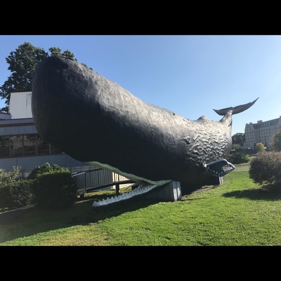 Profile Picture of Victoria Davidson (@vforce457) on Poshmark