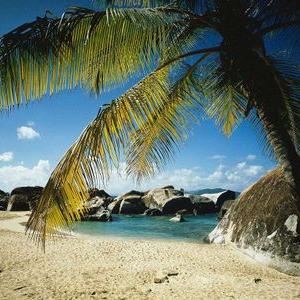 Profile Picture of Haider Hussein (@haiderhussein83) on Twitter