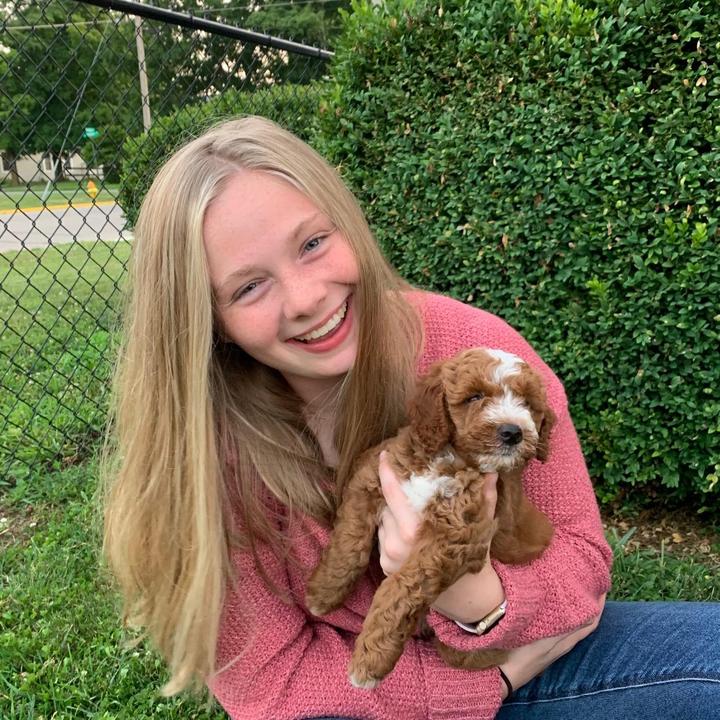 Profile Picture of Kristin McFarland (@kristinmcfarland5) on Tiktok