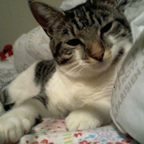 Profile Picture of Bri games Pessini (@bpirb807) on Poshmark