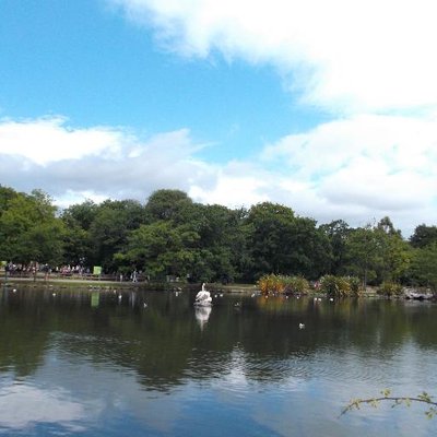 Profile Picture of Margaret Healy (@preseduc) on Twitter