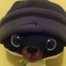 Profile Picture of Aaron Covelli (@aaroncovelli) on Pinterest