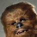 Profile Picture of Chewaka Wookie (Chewaka) (@chewaka.wookie.75) on Facebook