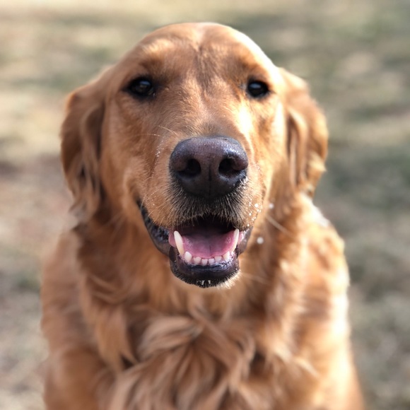 Profile Picture of John Perkins (@jpperk) on Poshmark