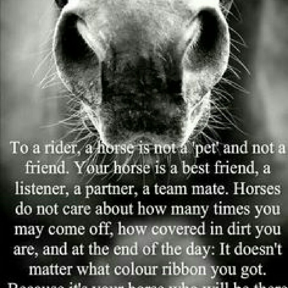 Kelsi Carter - Poshmark Profile Picture of Kelsi Carter (@dodge_cummins01) on Poshmark