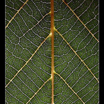 Profile Picture of L Bendall (@LBendall1) on Twitter