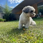 Profile Picture of Myrna Rossi (@myrna.rossi.58) on Facebook