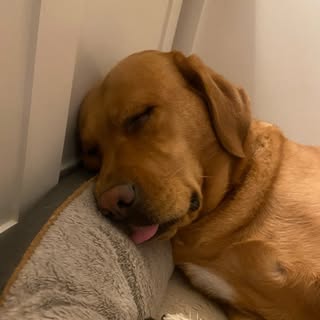 Profile Picture of Jonce (@johnson_b) on Instagram