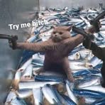 Dominic Piscitello - Facebook Profile Picture of Dominic Piscitello (@Dominic-Piscitello) on Facebook