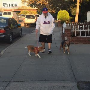 Profile Picture of Tony Mazzarelli258 (@beagle.guy) on Tiktok