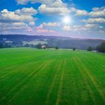 Profile Picture of Daniel Beumer (@dnlbmr) on Instagram