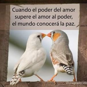 Profile Picture of Mario Tuanama Fachin (@FachinMario) on Twitter