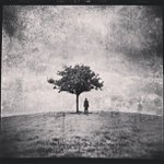 Profile Picture of Steven Laster (@plywoodno) on Instagram