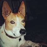 Profile Picture of Andrew Beamer (@roadski.2) on Instagram