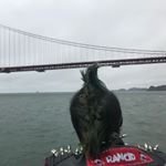 Profile Picture of David (@big_dave_bonk) on Instagram