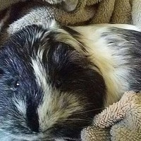 Profile Picture of Janet Purcell (@janet-purcell-8) on Quora